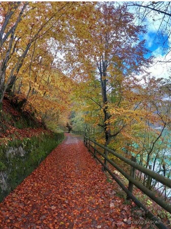 Colori Nel Parco Lägenhet Cesiomaggiore Exteriör bild